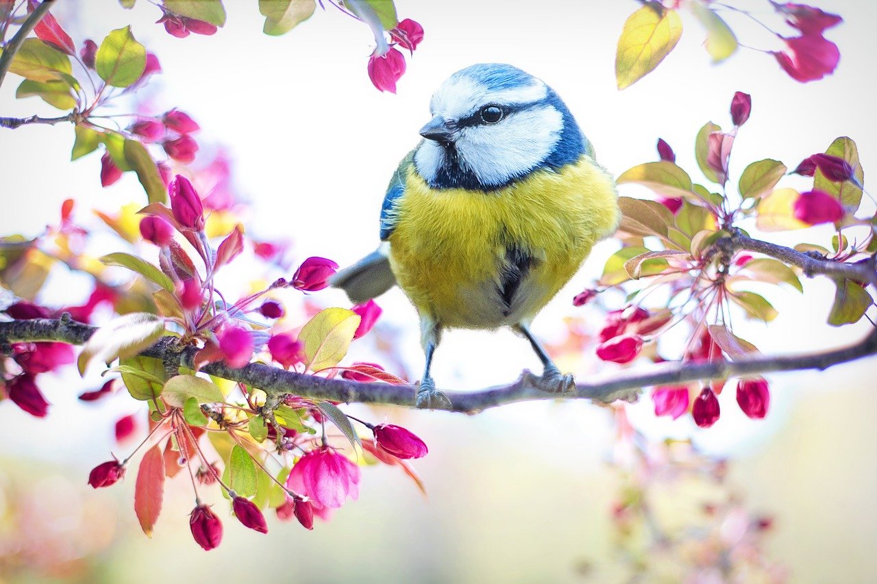 An image of a bird sitting on the branch of a tree