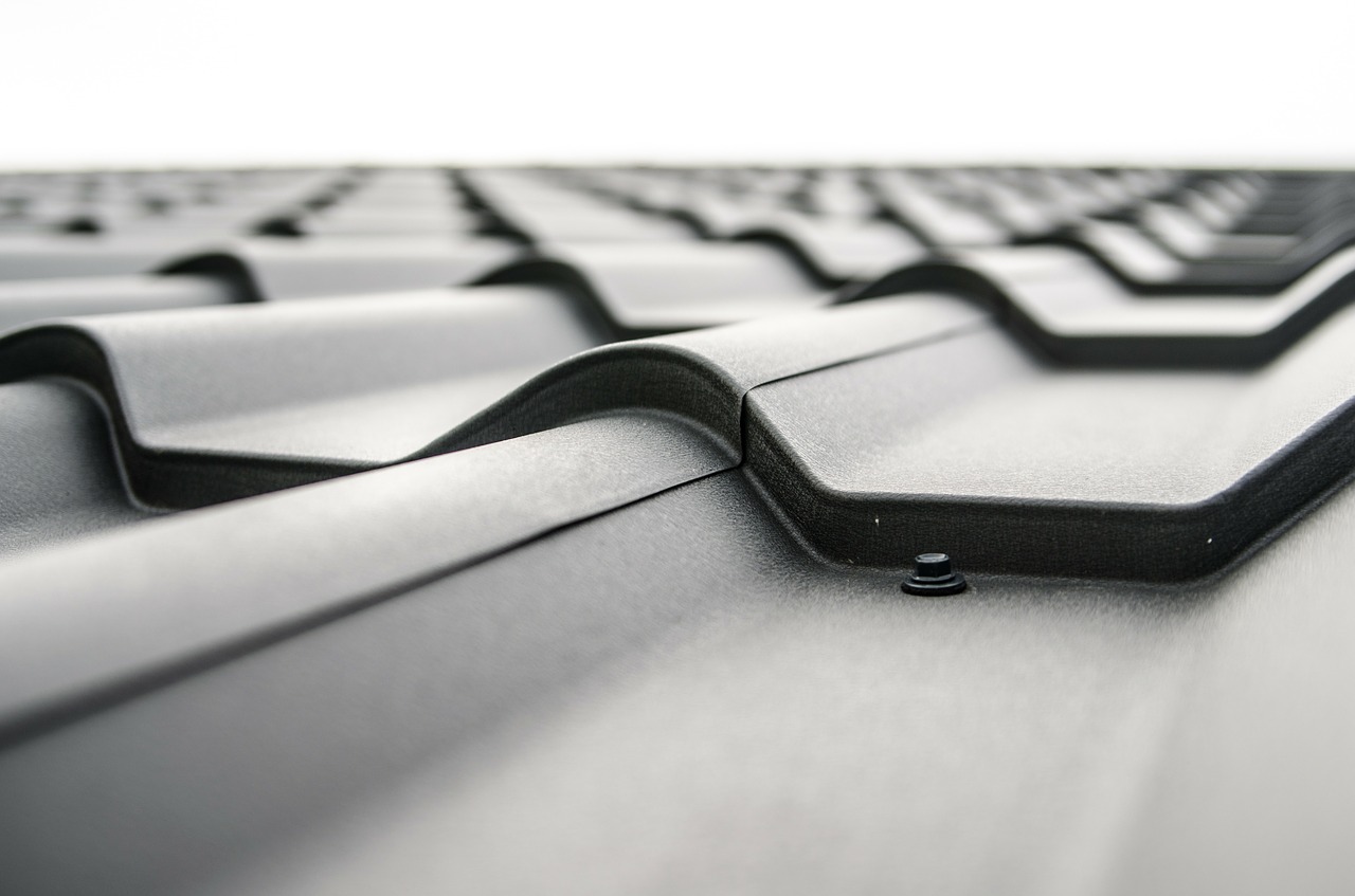 A black and white close up image of a roof