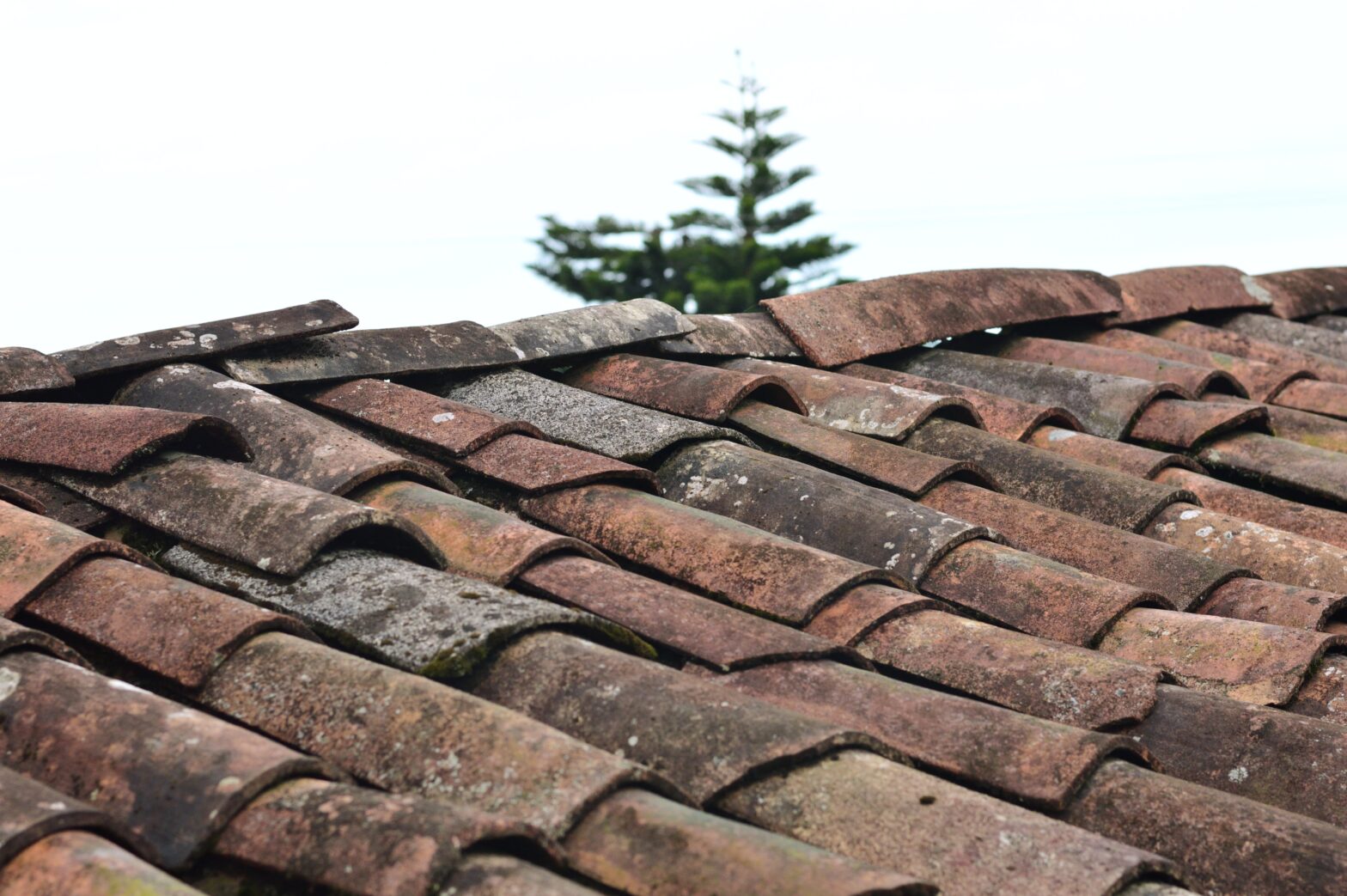Image of an old roof needing repair