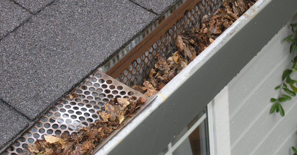 A gutter in need of maintainence.