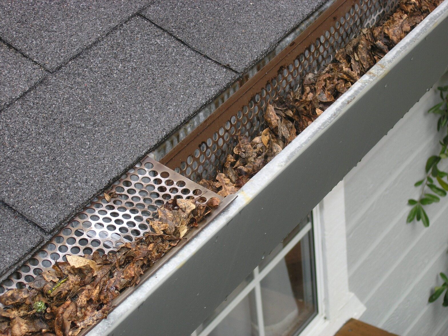 Image of a dirty gutter full of leaves
