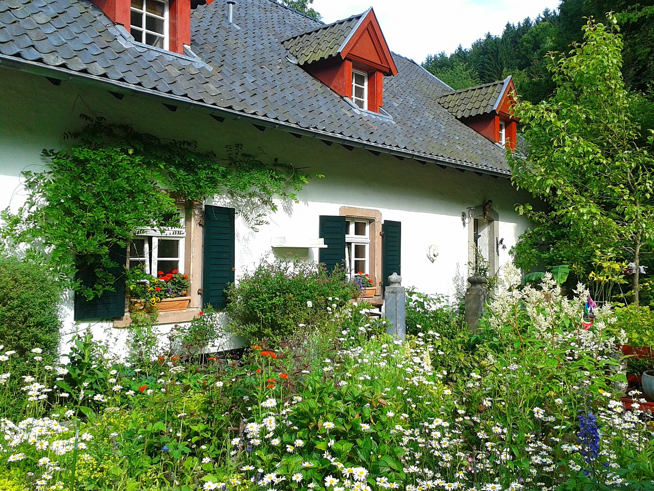 A cottage with lots of flora at the front